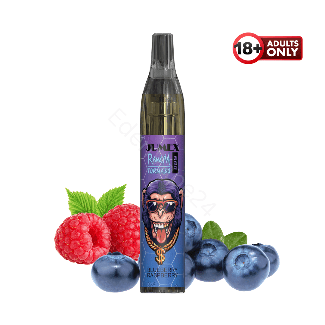 RandM Tornado 600 Fumot Vapes - Blueberry Raspberry - EdenVape24