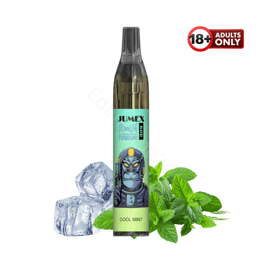 RandM Tornado 600 Fumot Vapes - Cool Mint - EdenVape24