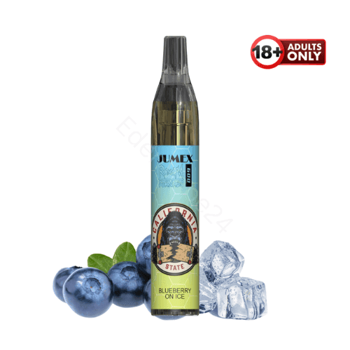 RandM Tornado 600 Nikotinfrei Fumot Vapes - Blueberry on Ice - EdenVape24