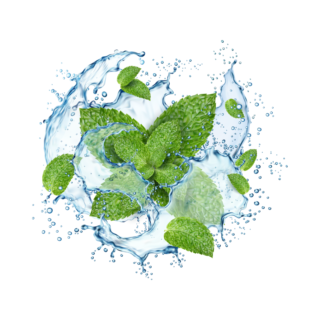 Vape Geschmack menthol