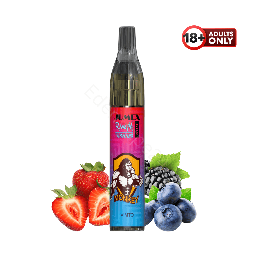 RandM Tornado 600 Fumot Vapes - Vimto - EdenVape24